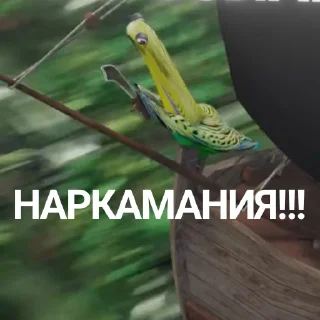 📦