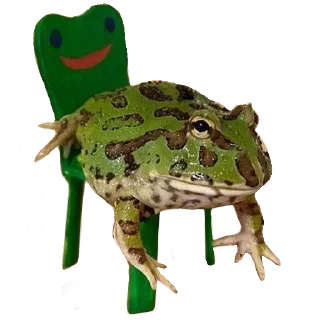 🐸