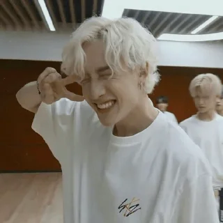 Stray Kids Forever