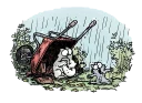 ☔