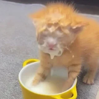 😑
