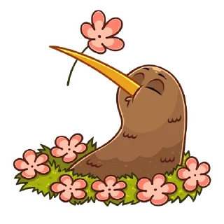 🌺