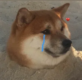 😥