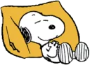 😴
