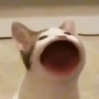 😯