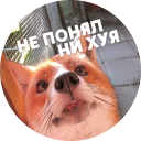 😮
