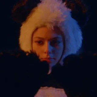 🐼