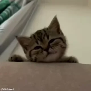 😁
