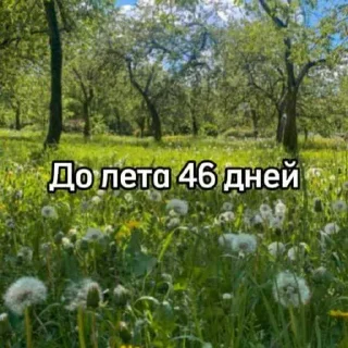 ☀️