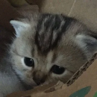 😫