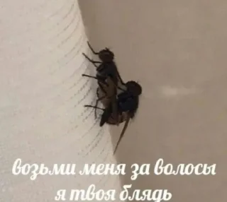 🔞