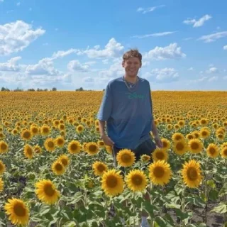 🌻