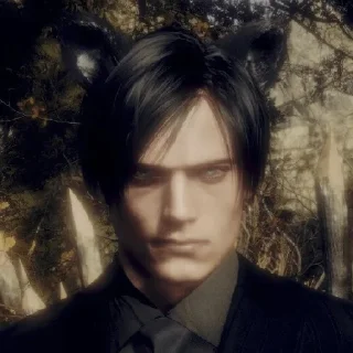 🐱