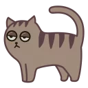 Fixel the Snob Cat