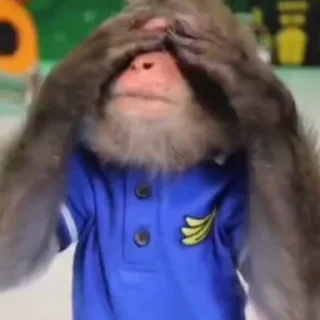 🐵