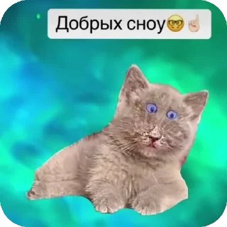 👍