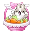 🐰