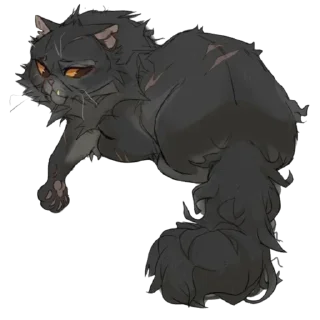 🐱