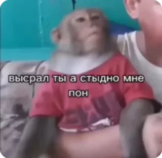 🤦‍♂