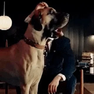 🐕