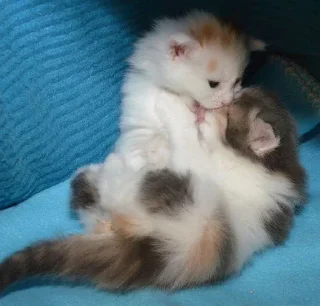❤️