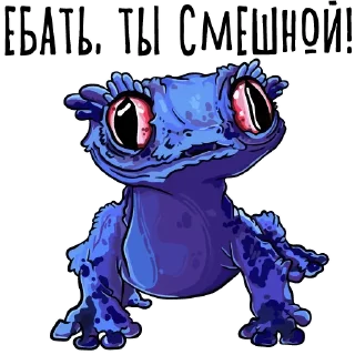 😹