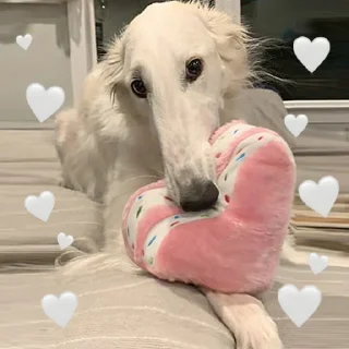 ❤️