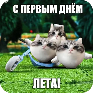 👍