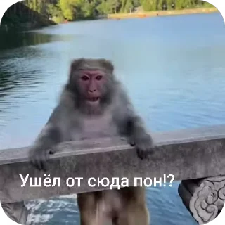 😡