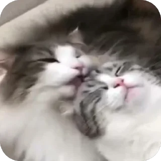 🫥