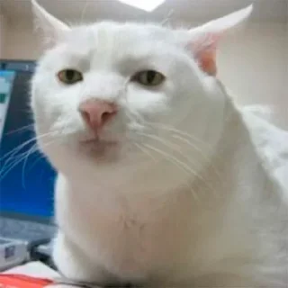 🤗