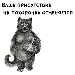 🐱