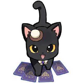 🐱