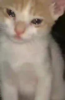😭