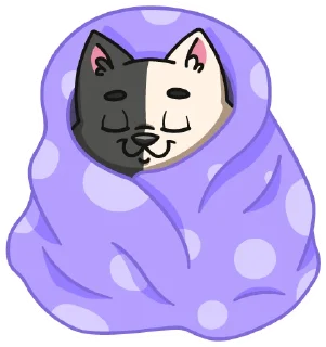 😴