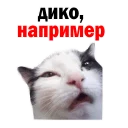 😭