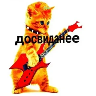 💃