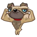 💪