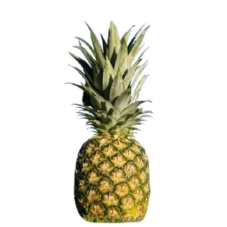 🍍