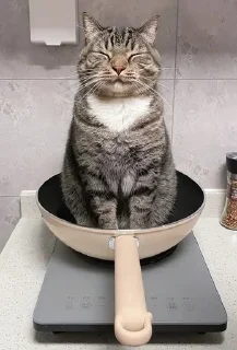 🌟