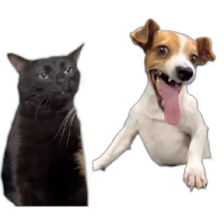 🌀
