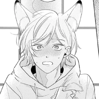 🦊