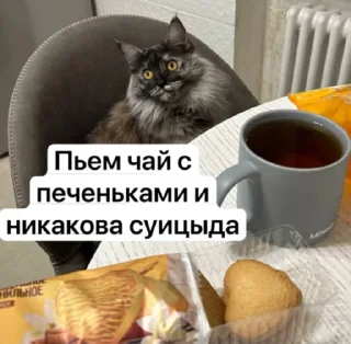 ☕️