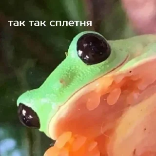 🐀