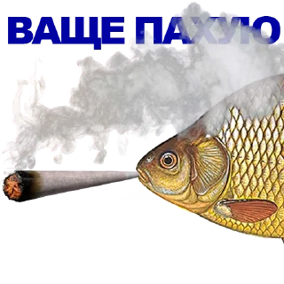 🐠