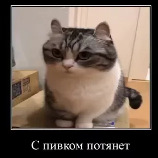 😏