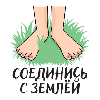 🌸