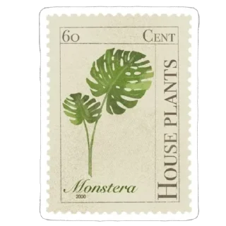 🌱