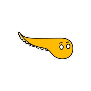 🐙