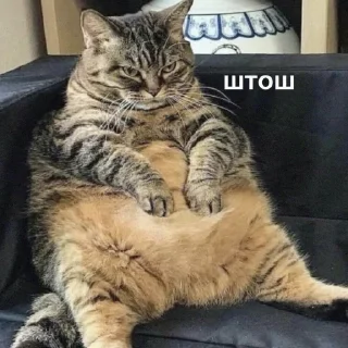 🙂